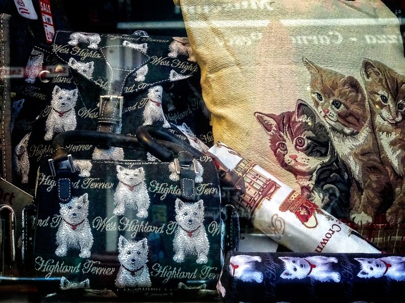 accessoires-pour-animaux-de-compagnie-annonce-demo-2
